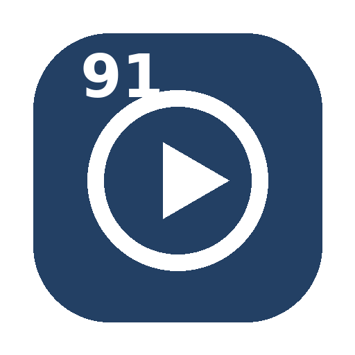 91网咨询顾问官网Logo